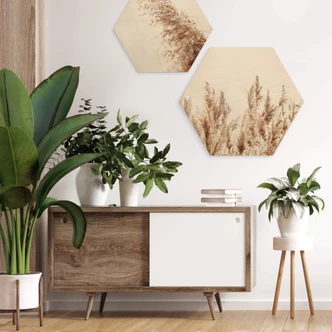 Hexagon Hout Rietgrassen 