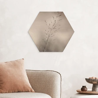 Sekskantet Billede af træ græsstrå med dugdråber - Sillen 