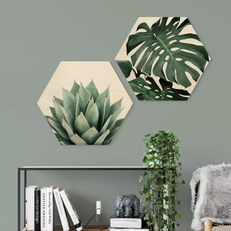 Hexagon Hout Sisi & Seb - Succulents 