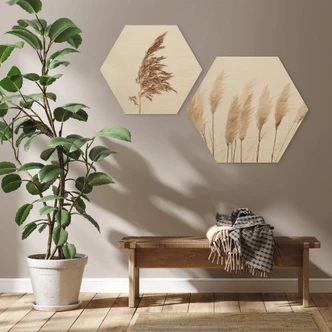 Hexagon - Træ Sisi & Seb - Pampas 