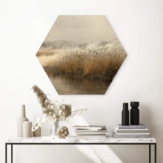 Hexagone - Bois Talen - Matin hivernal 