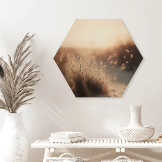 Hexagone - Bois Treechild - Coucher de soleil sur les dunes 