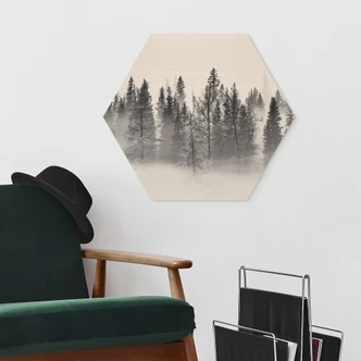 Hexagone - Bois Xu - Foggy Forest 