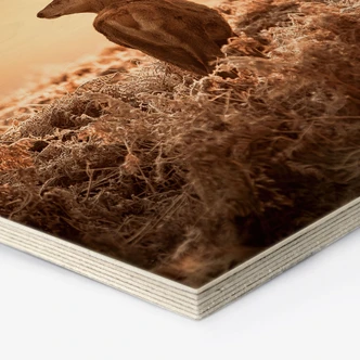 Hexagon Hout Majestueus Hert 