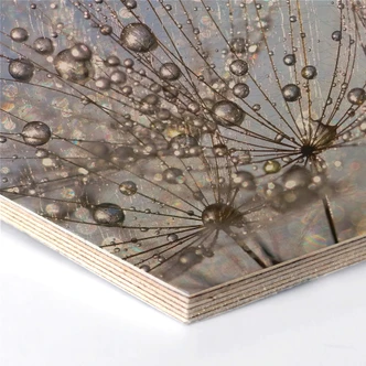 Hexagon Berkenfineer Delgado - Waterdrop Dandelion 
