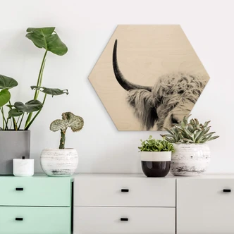 Hexagon - Holz Birke-Furnier Sisi & Seb - Bulle 