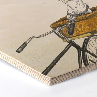 Hexagon - Holz Birke-Furnier Sparshott - Hund im Korb 