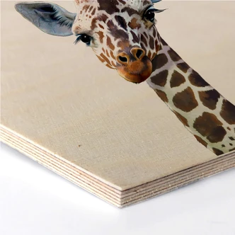 Hexagon Hout - Graves - Giraffe 