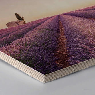 Hexagon Wood Birch Veneer - Lavender 