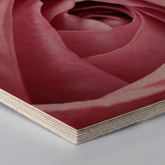 Hexagon wood - Pink Roses 