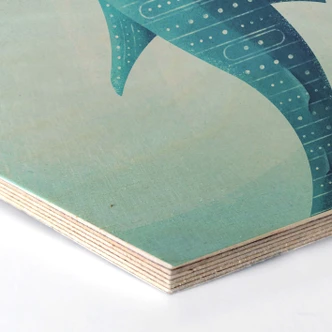 Hexagon berkenfineer - Rivers - de Walvishaai 