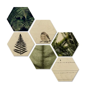 Hexagon - Holz Birke-Furnier - Natürliche Vielfalt (6-teilig) 