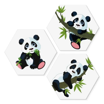 Hexagon Dibond Set Panda's (3-delig) 