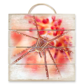 Holzbild Narchuk - Unterwasser-Exotik - 40x41,5 cm 