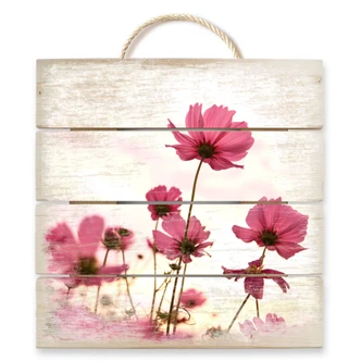Pink Cosmos 2 - Wood Print 