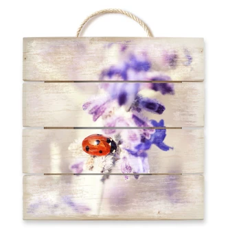 Holzbild Little Friend - 40x41,5 cm 