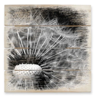 Holzbild Dandelion - 40x41,5 cm 