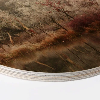 Wall Circle Wood van Dongen - Frosted Forest 