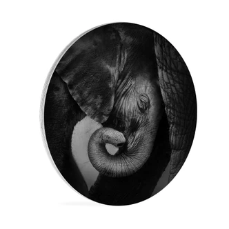 Stampa su legno - Cucciolo di elefante 