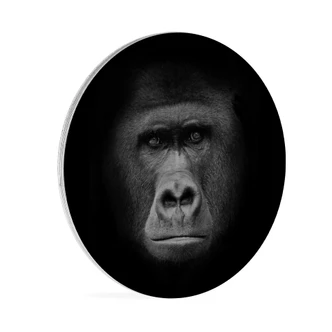 Stampa su legno Gorilla - tondo 