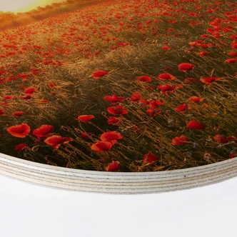 Hout rond - Klaprozen bij zonsondergang Hout rond - Klaprozen bij zonsondergang