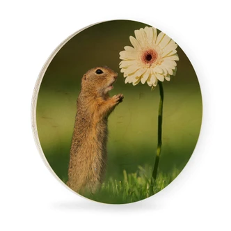 Cuadro de madera van Duijn - Gopher con gerbera - Redondo 