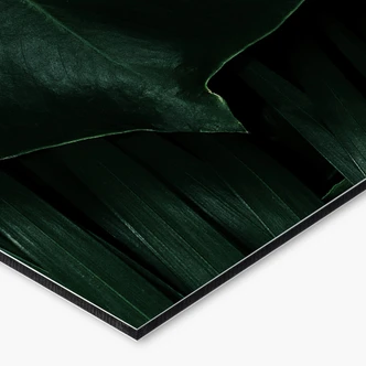 Küchenrückwand Dunkelgrüne Dschungelpflanzen 