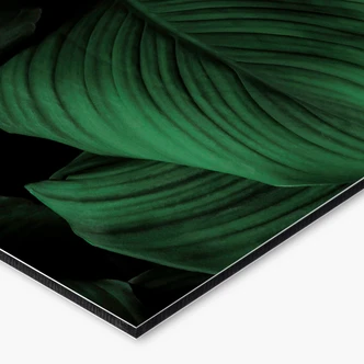 Rivestimento per cucina - Foglie tropicali 