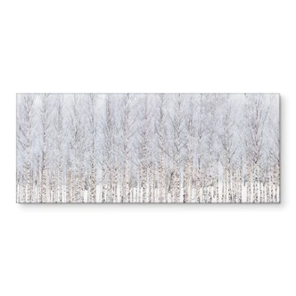Küchenrückwand mit Natur-Motiv Birkenwald im Winter - EMELIEmaria 