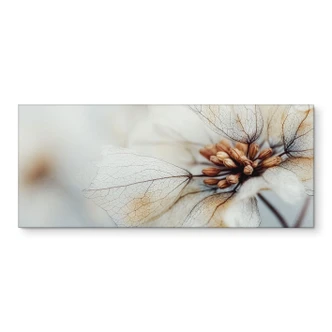 Keukenachterwand bloesemstructuur van een gedroogde bloem - Treechild 