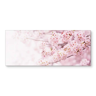 Küchenrückwand Zarte Kirschblüten 