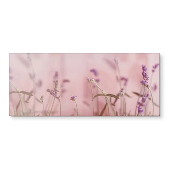 Küchenrückwand Zarter Lavendel 