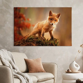 Leinwandbild Adamec - Junger Fuchs im Wald 
