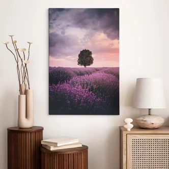 Leinwandbild Lila Lavendelfelder bei Sonnenuntergang - Cevik 