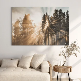 Lienzo Naturaleza - Rayos de luz en el bosque - Eisenmann 