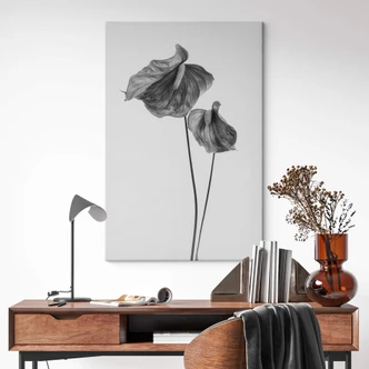 Canvas Grønkjær - Anthurium 