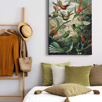 Leinwandbild Haeckel - Kolibris Leinwandbild Haeckel - Kolibris