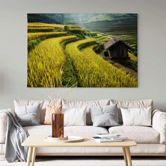 Leinwandbild Intarob - Reisfelder in Vietnam 
