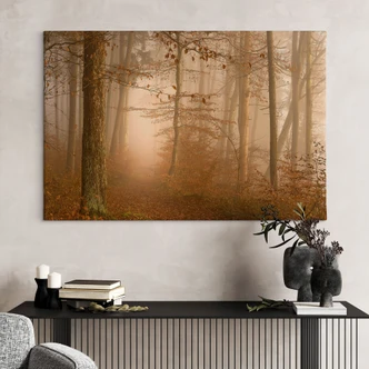 Tableau sur toile Brume et lumière dans la forêt d'automne - Maier 