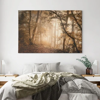 Leinwandbild Wald im morgendlichen Nebel - Maier 