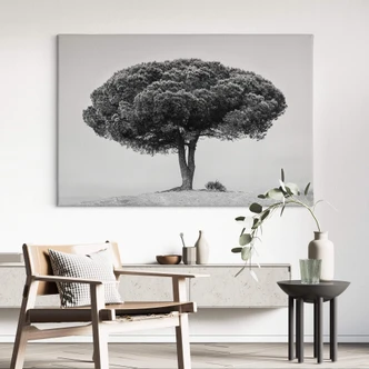 Leinwandbild Martin - Baum in Schwarz-Weiß 