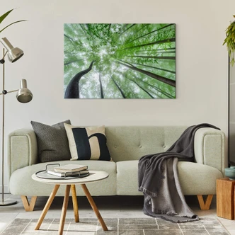 Canvas Pavlasek - Hoog in de Groene Bomen Canvas Pavlasek - Hoog in de Groene Bomen