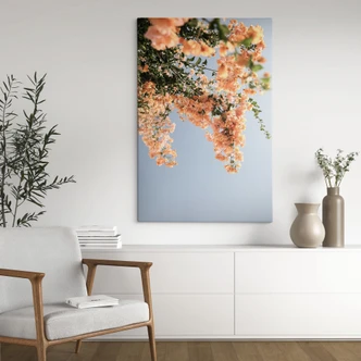 Canvas Print Peach blossoms in Assos - Shot by Clint 