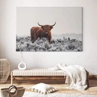 Leinwandbild van den Helm - Highlander 