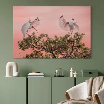 Leinwandbild Natur - Zhao - Vogelpärchen im Sonnenuntergang 