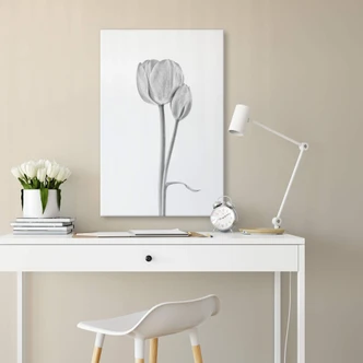 Canvasbillede - Grønkjær - Tulipaner 