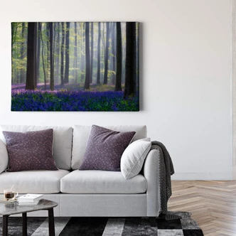 Canvas Popan - Hyacinthen 