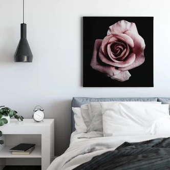 Leinwandbild Einzelne Rose - Quadratisch 