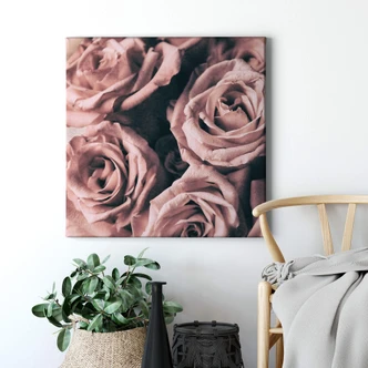 Leinwandbild Rosa Rosen im Vintagestil - Quadratisch 