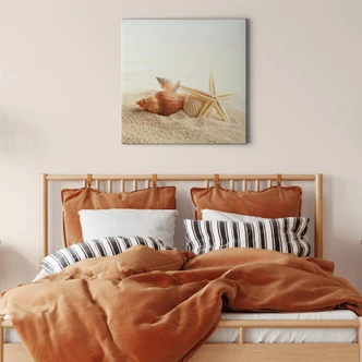 Leinwandbild Seestern und Muscheln - Quadratisch 